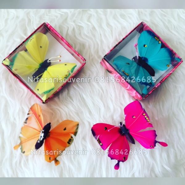 bros kupu kupu bros kupu kupu